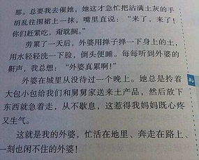 有关外观描述的片段