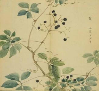 诗经：夏武