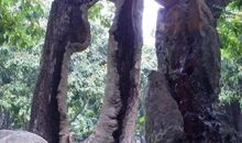 郁达夫：我承认是“失败了”