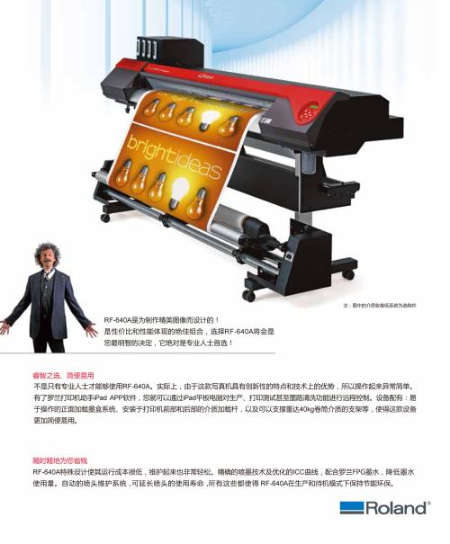 罗兰：老人与猫