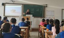 桔子的自述作文