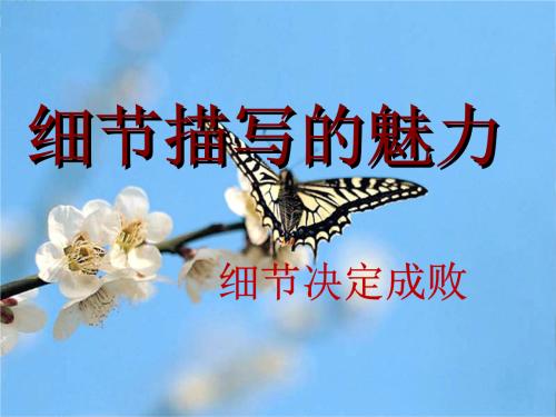 详细的句子