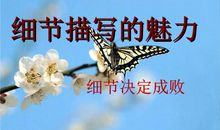 细节描写的句子