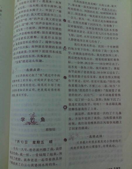 300字摘录