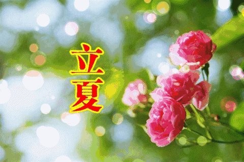 在夏天照顾人