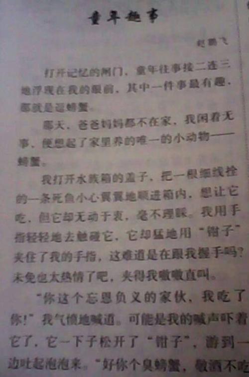 研究组成：愚蠢的童年