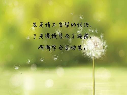 爱情句子