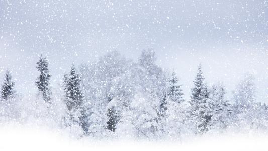 关于冬季雪花的诗