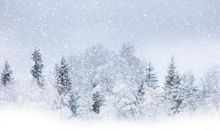 关于冬天雪花的诗句