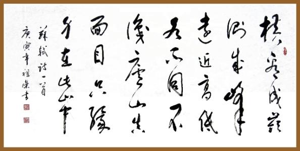 苏Shi的诗是什么