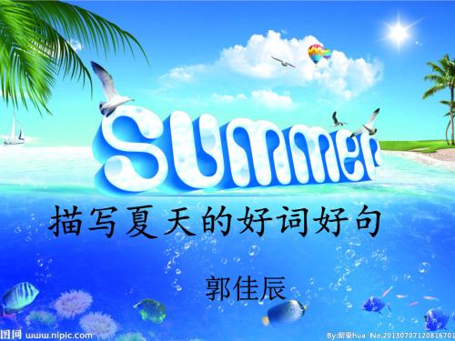 描述菜园的好单词和句子