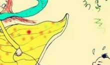 《快兔子和慢蜗牛》读后感