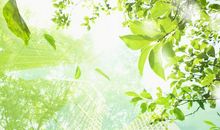 珍惜生命的格言