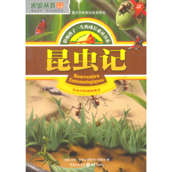 昆虫片段