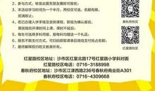 金秋杮子甜作文