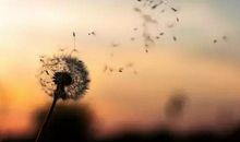 欲望越小人生就越幸福