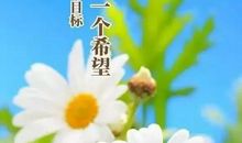 心灵感悟短语