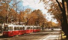 经典语录：寒冬落魄你不在，春暖花开你是谁