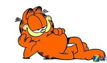 想努力却又努力不起来，怎么办