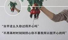 关于幸福的经典语句