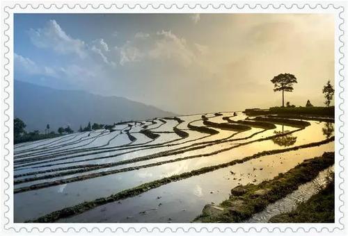 在绝望中醒来