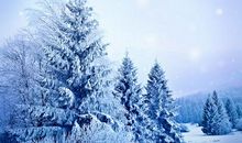 表示冬天早晨的句子