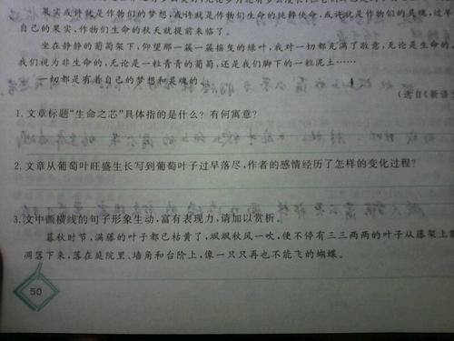 使用到期且必须在句子中