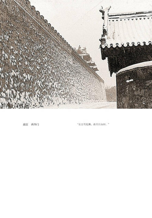 老舍：Bun头