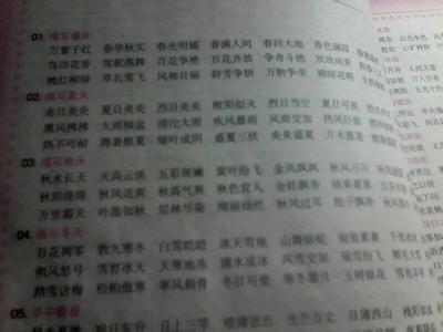 描述雪的四个字符的单词和解释