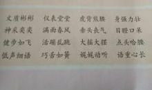 形容商品多的成语