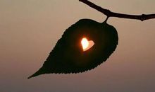 景物描写的好段