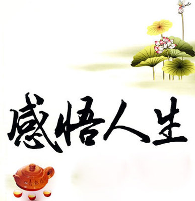 完整的经典句子来理解生活