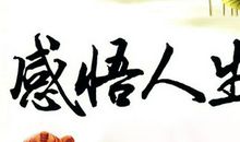 感悟生活的经典句子大全