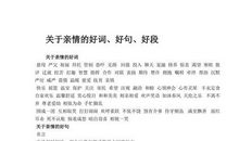 关于真情的好句好段