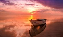 函授本科毕业鉴定表自我鉴定