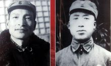 季米特洛夫的名言