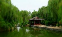 老舍：大明湖之春