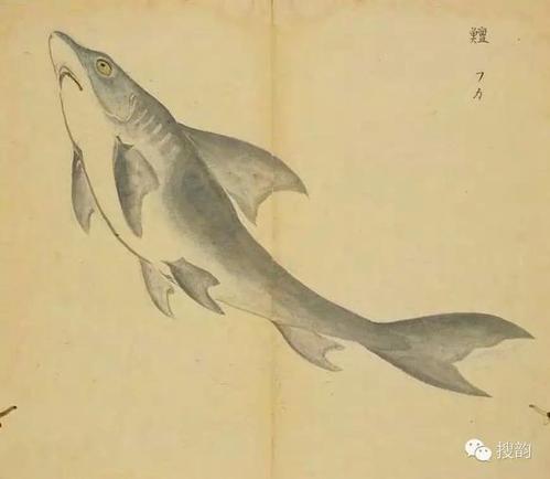 诗集：隐藏