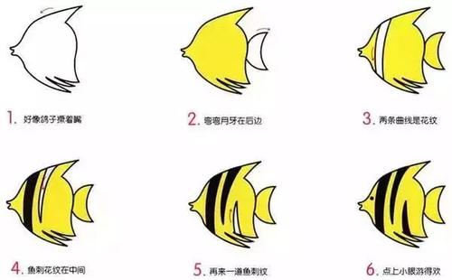 哲学故事：鲨鱼和热带鱼