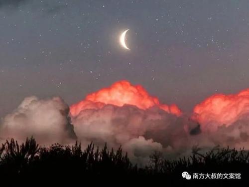 经典语录：爱自己是一生浪漫的开始