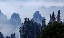 初游张家界——奇美天子山作文