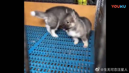 扎根于一句话