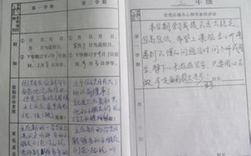 小学最终评论集2016