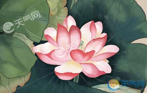 谚语夏至