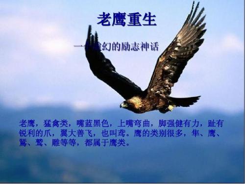 激励自己的10种最有效方法