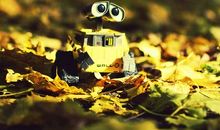 如果你想飞，今天就是起点