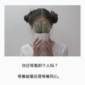 经典语录：有些爱只能终结于岁月中隐藏的嘴唇和牙齿