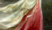 李清照：南歌子