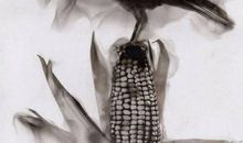 表示技艺高超的成语