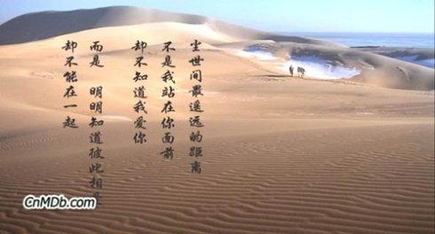 经典台词